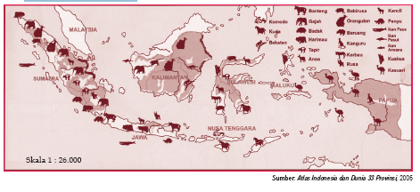 Macam Jenis dan Persebaran Fauna di Indonesia Macam Jenis Persebaran Fauna di Indonesia