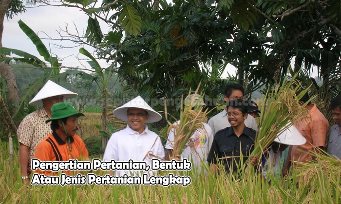 Pengertian Pertanian, Bentuk Atau Jenis Pertanian Lengkap