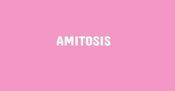  Pembelahan amitosis adalah pembelahan sel secara langsung Pembelahan Amitosis Pada Bakteri [Organisme Prokariotik]