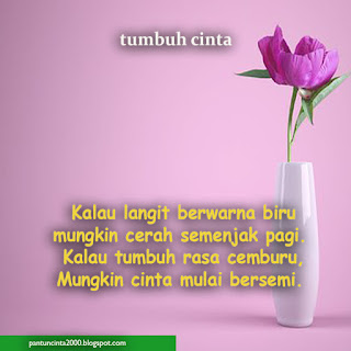  Tapi kalau pantun cemburu isinya kesel banget karena dia ngga ngerti 30 Pantun Cemburu Tanda Cinta Tanda Sayang Tapi ...