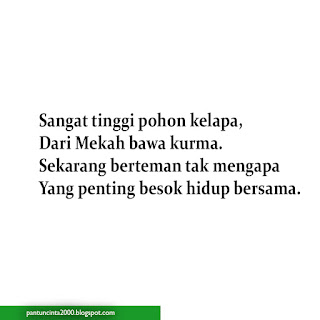  Dunia remaja merupakan dunia yang sangat dinamis 40 Contoh Pantun Remaja Perkenalan, Persahabatan, dan Romantis