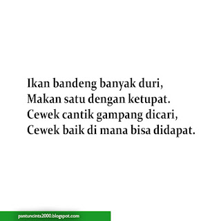  Dunia remaja merupakan dunia yang sangat dinamis 40 Contoh Pantun Remaja Perkenalan, Persahabatan, dan Romantis