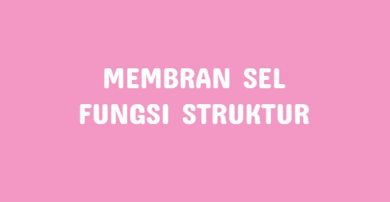 Membran Sel : Fungsi, Struktur, Gambar, Komponen – Blog Ilmu Pengetahuan