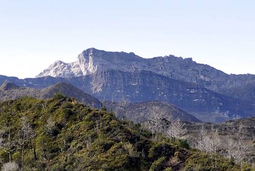 gunung tertinggi di indonesia puncak trikora