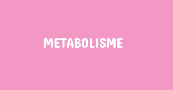  Metabolisme adalah proses perubahan reaksi kimia beserta perubahan energi yang menyertai  Pengertian Metabolisme, Anabolisme dan Katabolisme dan Contohnya