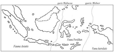 persebaran flora dan fauna di indonesia