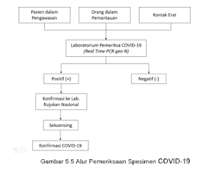  Kementerian Kesehatan RI Direktorat Jenderal Pencegahan dan Pengendalian Penyakit  PEDOMAN PENCEGAHAN DAN PENGENDALIAN CORONAVIRUS DIEASE (COVID-19) REVISI KE-3