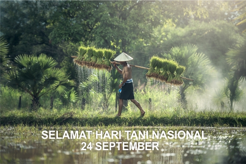  Hari Tani Nasional dirayakan setiap tanggal  60 Kata Kata Ucapan Selamat Hari Tani Nasional 24 September 2021