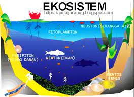  Ekologi adalah ilmu yang mempelajari tentang ekosistem  APA ITU EKOSISTEM?