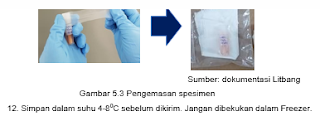  Kementerian Kesehatan RI Direktorat Jenderal Pencegahan dan Pengendalian Penyakit  PEDOMAN PENCEGAHAN DAN PENGENDALIAN CORONAVIRUS DIEASE (COVID-19) REVISI KE-3