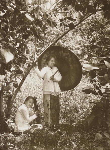  kebaya adalah pakaian yang hanya dikenakan keluarga kerajaan Jawa Foto Foto Perempuan Jaman Dulu Saat Mengenakan Kain Jarik dan Kebaya