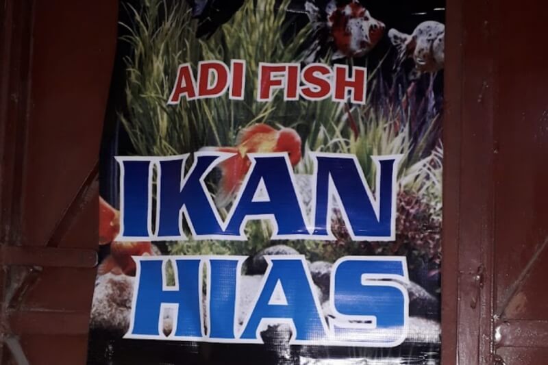 ADI FISH