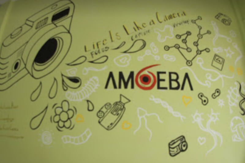 AMOEBA Camera - Baciro