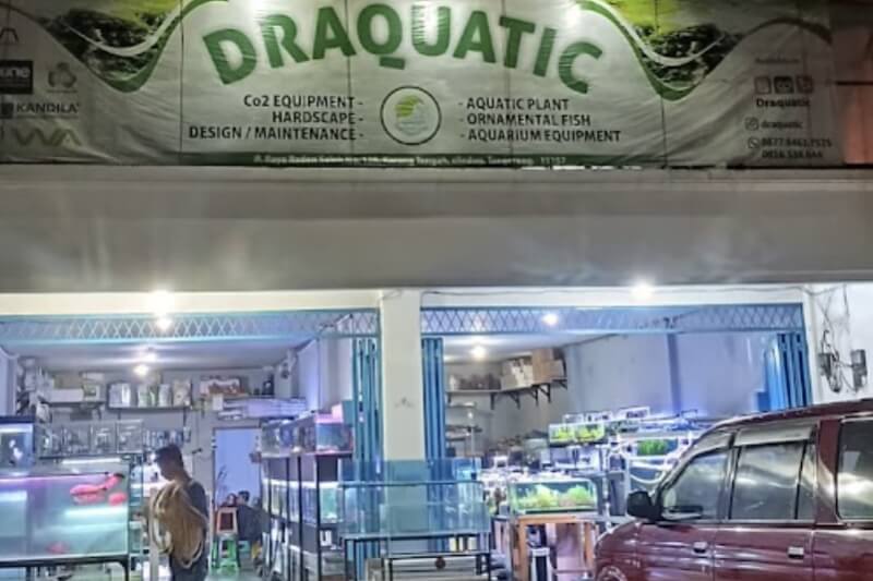 Aquascape Draquatic