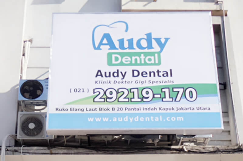 Audy Dental