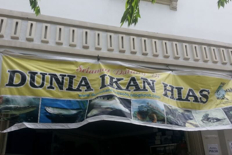 Dunia Ikan Hias