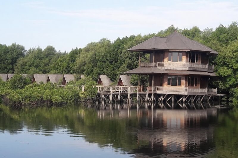 Hutan Mangrove Pantai Indah Kapuk