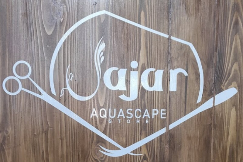 Jajar Aquascape Solo