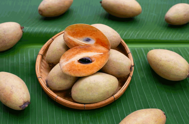 Kandungan Nutrisi Buah Sawo