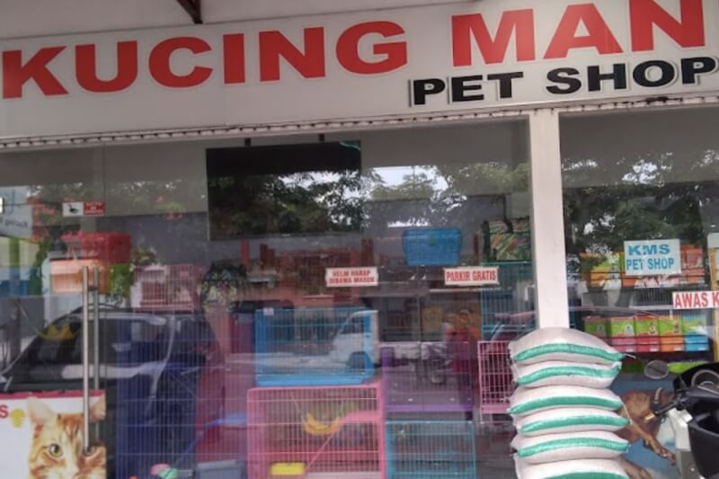 PET SHOP KMS KUCING MANIA