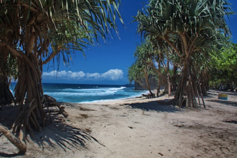 Pantai Ngudel