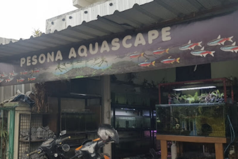 Pesona aquascape