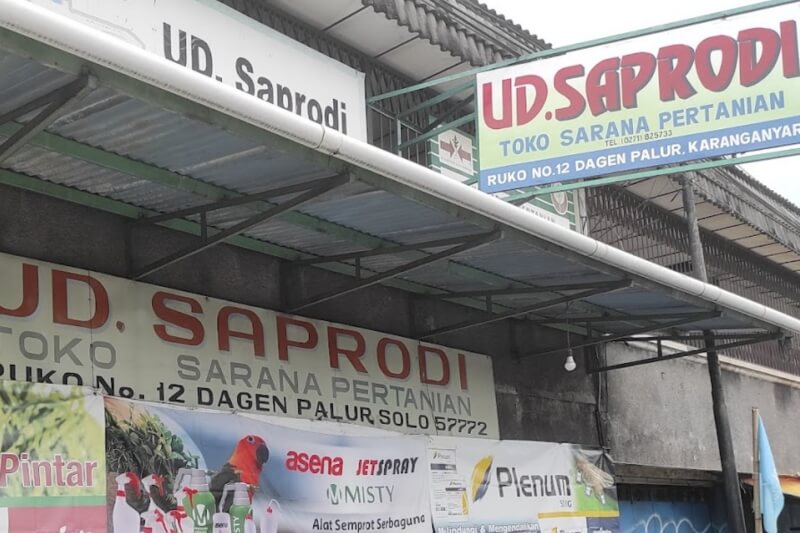 UD.SAPRODI