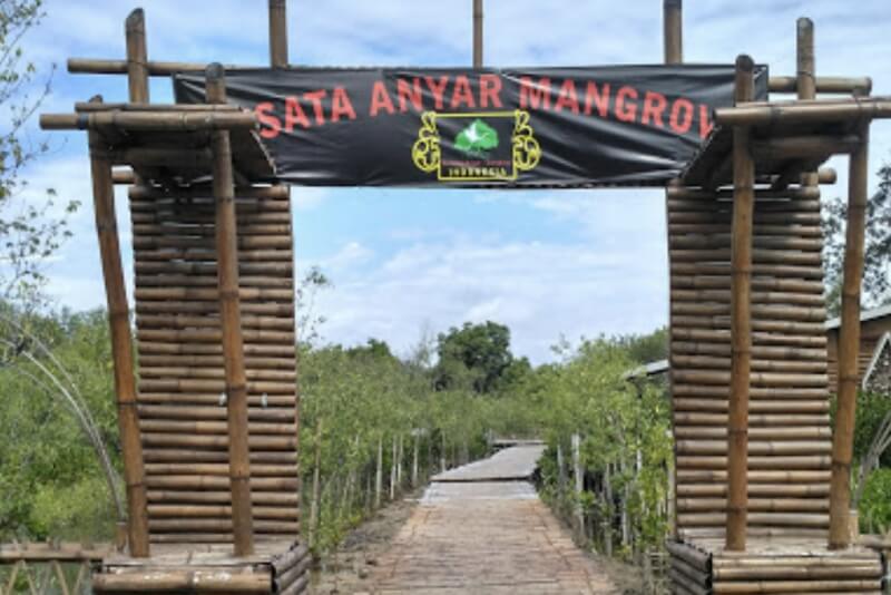 Wisata Mangrove Gunung Anyar