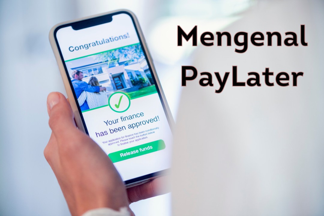 Apa itu PayLater? Pengertian, Contoh dan Keunggulannya - InvestBro