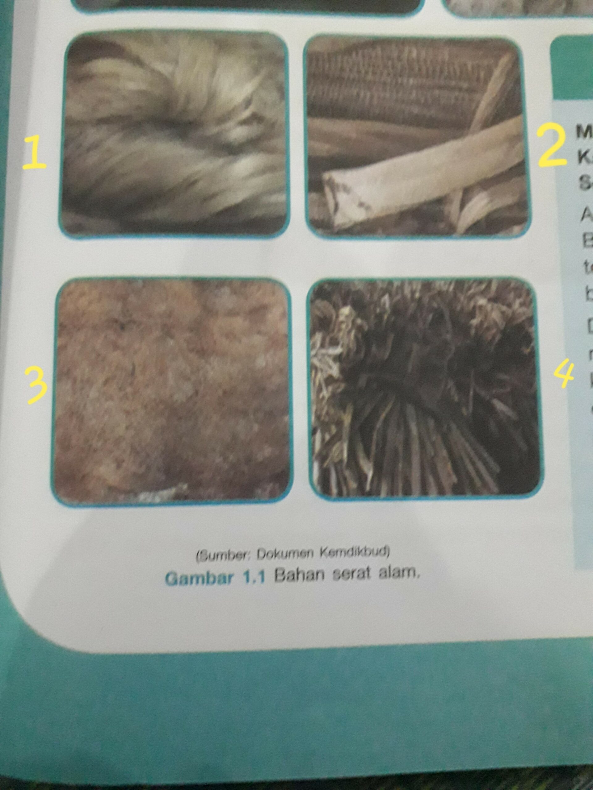 Apa jenis bahan serat alam contoh :serat hewan (domba/wol) ,ciri