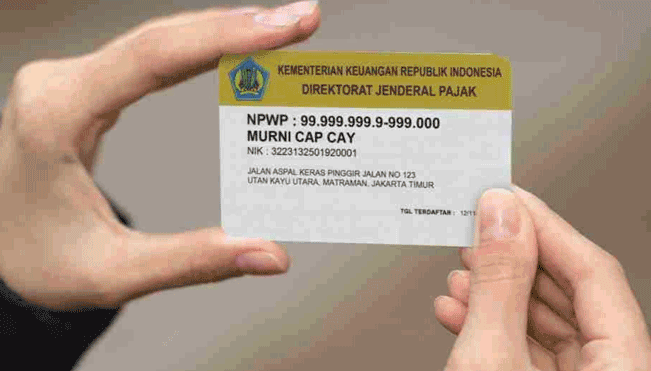 cara membuat npwp online