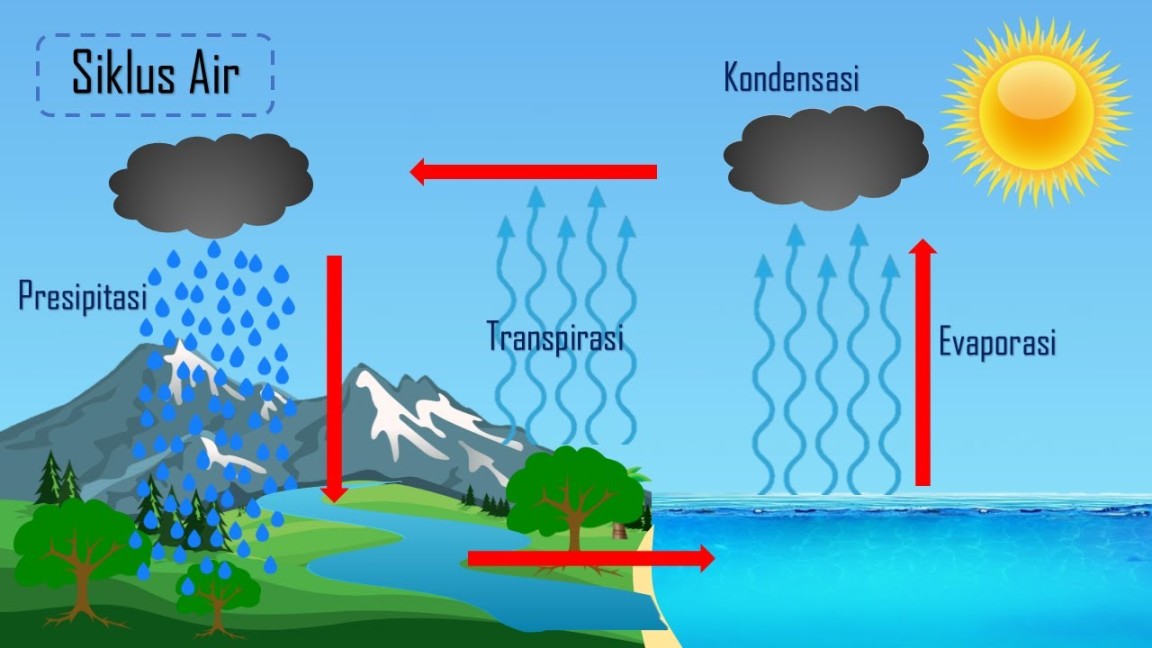 MEDIA PEMBELAJARAN SIKLUS AIR