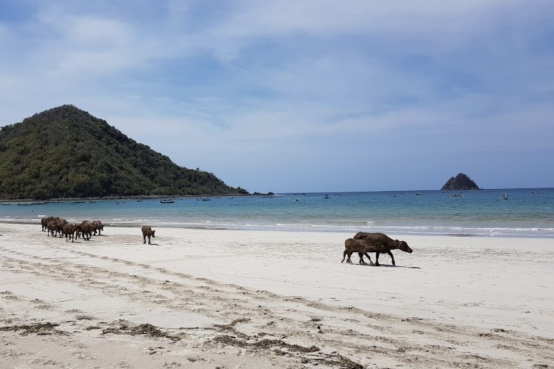 Pantai Selong Belanak