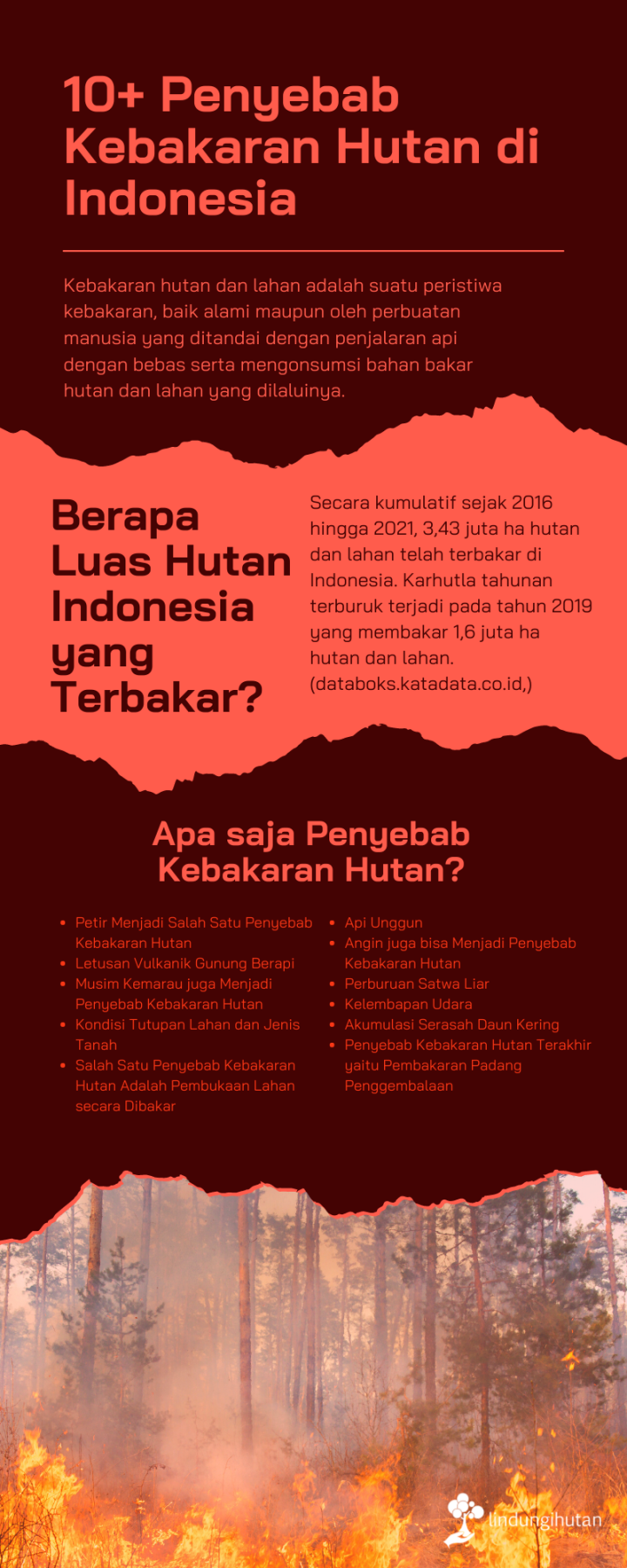 + Penyebab Kebakaran Hutan di Indonesia - Blog LindungiHutan