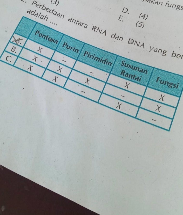 perbedaan antara RNA dan DNA yang benar adalahtolong dong