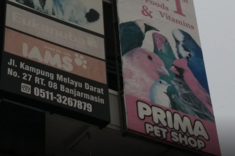 Prima Pet Shop