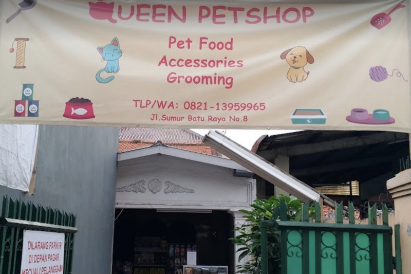 Queen Petshop