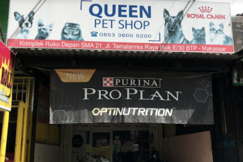 Queen Petshop Makassar