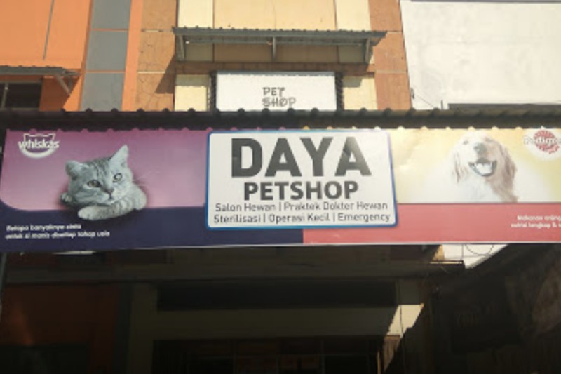 Daya Petshop Makassar