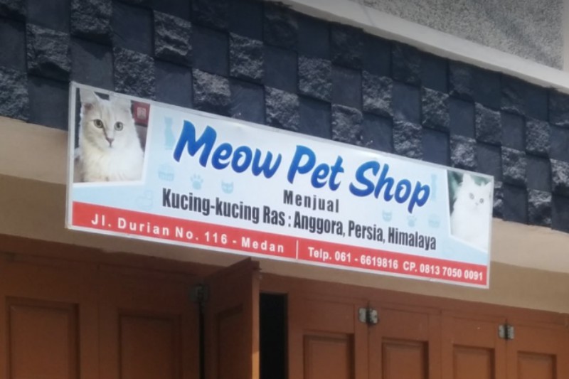 Meow Pet Shop