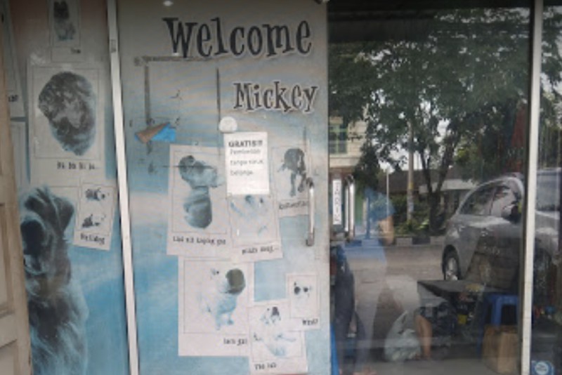 Mickey Pet Shop