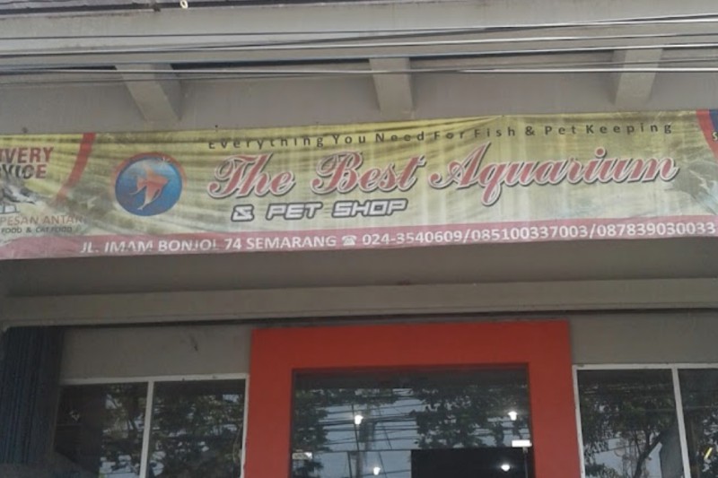 The Best Aquarium & Pet Shop