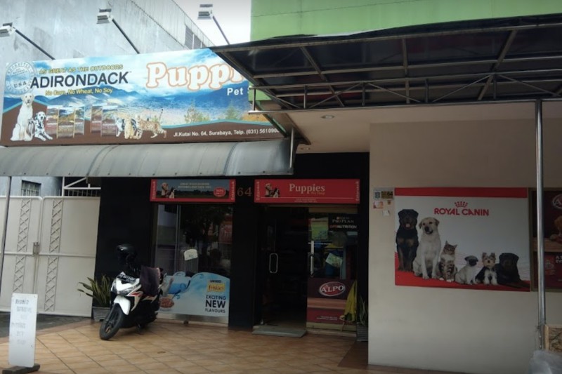 Puppies Pet Shop