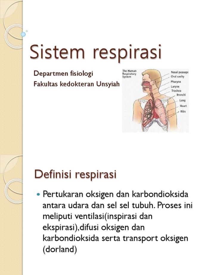 Sistem Respirasi  PDF