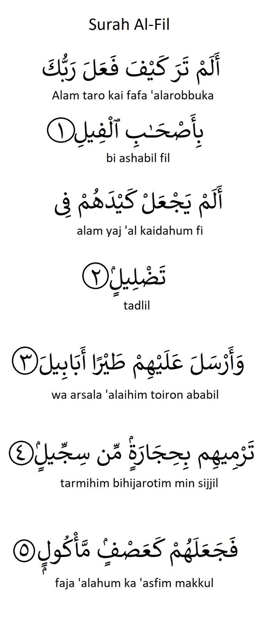 Surah Al-Fil (Panduan Rumi & Terjemahan) - Aku Muslim