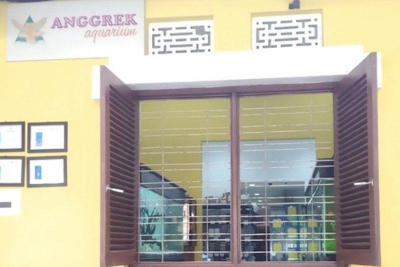 Anggrek Aquarium