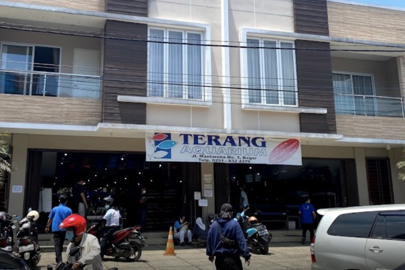 Toko Terang Aquarium