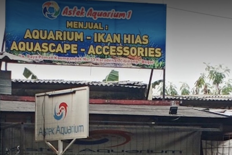 Astek Aquarium