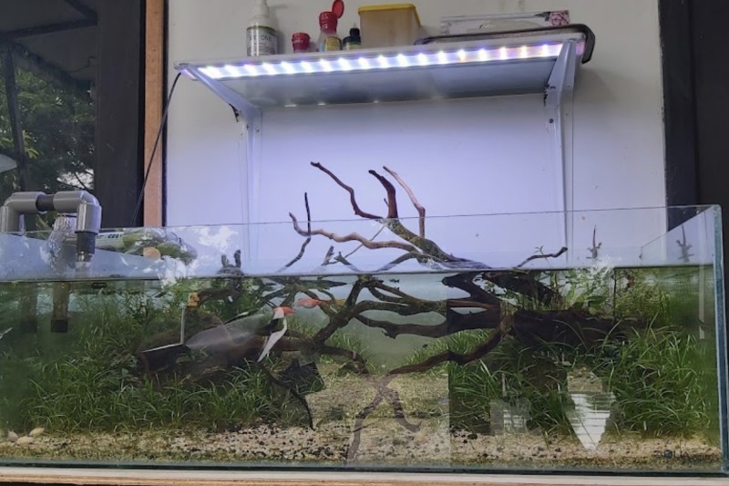 Toko Aquasentris