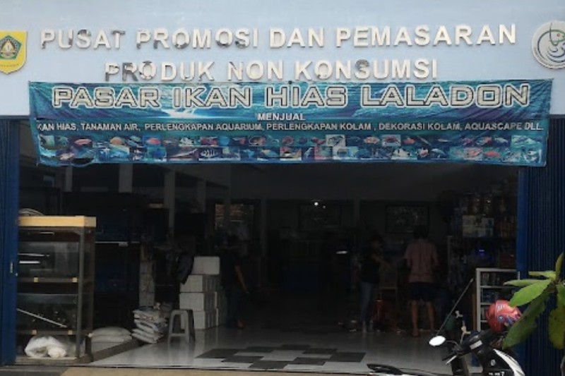 Bursa Ikan Hias Laladon